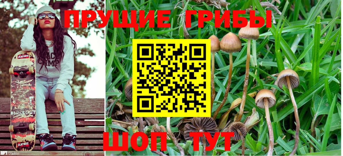 Галлюциногенные грибы MAGIC MUSHROOMS  Галлюциногенные грибы Psilocybine cubensis  Лиски  Вход с VPN 
